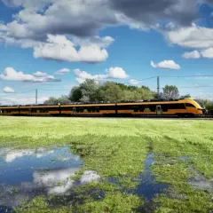 Ein gelb-schwarzer Zug fährt auf den rumänischen Eisenbahnen durch eine grüne Wiese mit Wasserpfützen.
