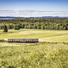 Ein roter Zug fährt durch eine grüne Landschaft in Schweden. Die #Inlandsbanan ist eine malerische Strecke.