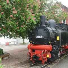 Dampflok 99 651 vor blühendem Baum, ein Symbol für die Bottwartalbahn Reaktivierung.