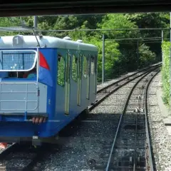 Mit dem Zug zum Lago Maggiore: Eine blaue Standseilbahn fährt auf Schienen durch üppiges Grün.