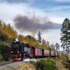Dampflokomotive mit roten Waggons fährt mit viel Rauch durch den herbstlichen Harz. Ein nostalgisches Erlebnis mit dem Zug in den Harz.