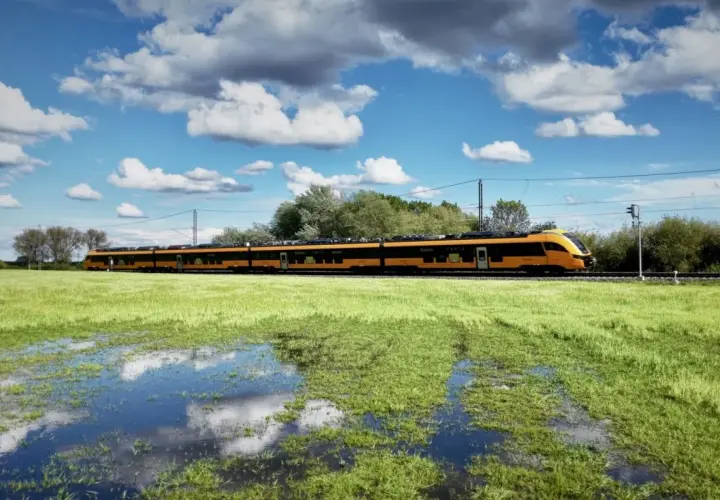 Ein gelb-schwarzer Zug fährt auf den rumänischen Eisenbahnen durch eine grüne Wiese mit Wasserpfützen.