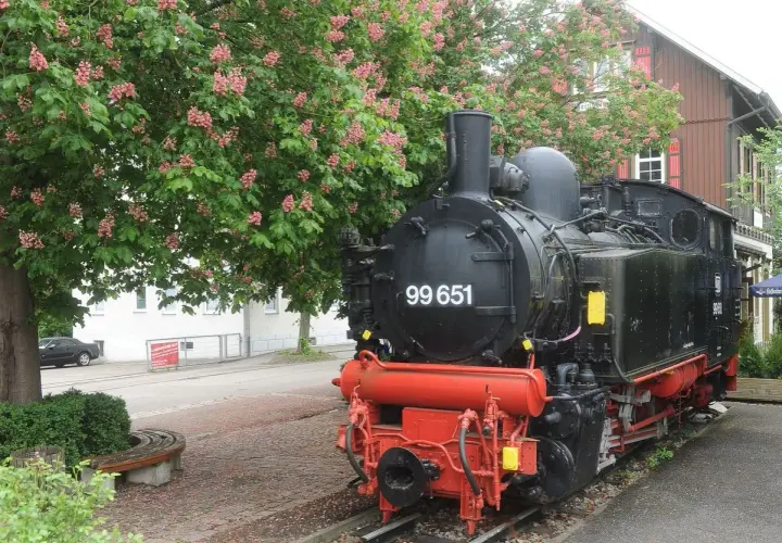 Dampflok 99 651 vor blühendem Baum, ein Symbol für die Bottwartalbahn Reaktivierung.