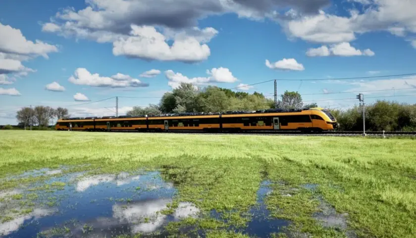 Ein gelb-schwarzer Zug fährt auf den rumänischen Eisenbahnen durch eine grüne Wiese mit Wasserpfützen.