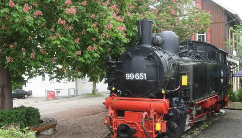 Dampflok 99 651 vor blühendem Baum, ein Symbol für die Bottwartalbahn Reaktivierung.