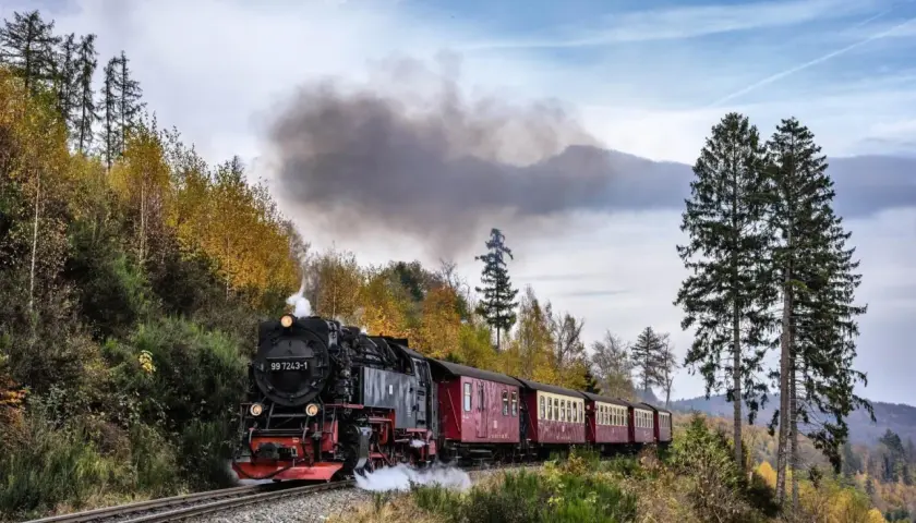 Dampflokomotive mit roten Waggons fährt mit viel Rauch durch den herbstlichen Harz. Ein nostalgisches Erlebnis mit dem Zug in den Harz.
