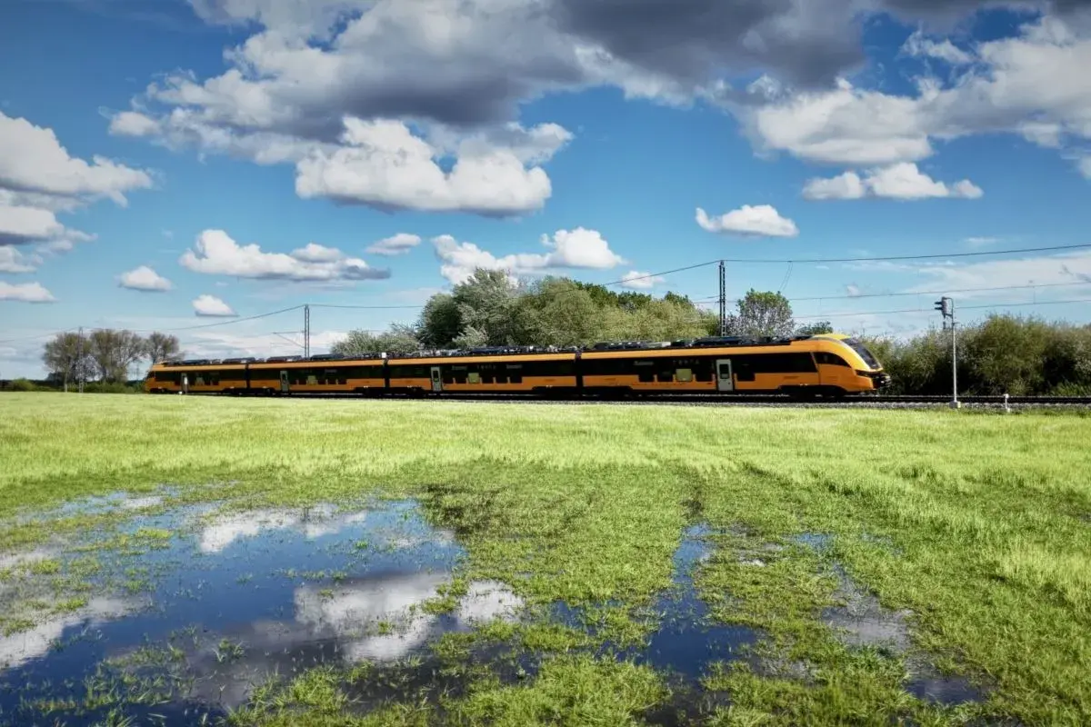 Ein gelb-schwarzer Zug fährt auf den rumänischen Eisenbahnen durch eine grüne Wiese mit Wasserpfützen.