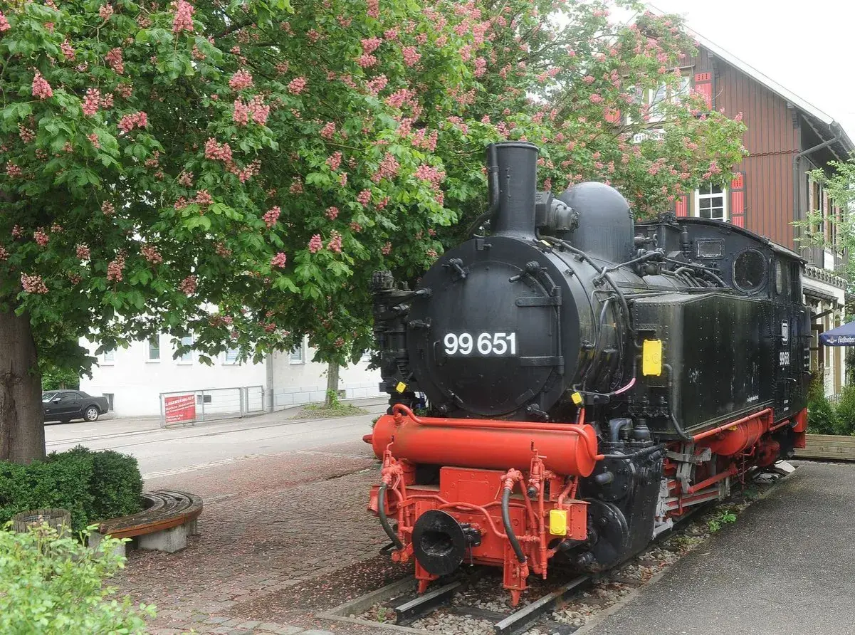 Dampflok 99 651 vor blühendem Baum, ein Symbol für die Bottwartalbahn Reaktivierung.