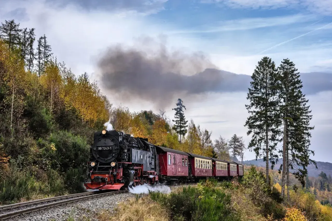 Dampflokomotive mit roten Waggons fährt mit viel Rauch durch den herbstlichen Harz. Ein nostalgisches Erlebnis mit dem Zug in den Harz.