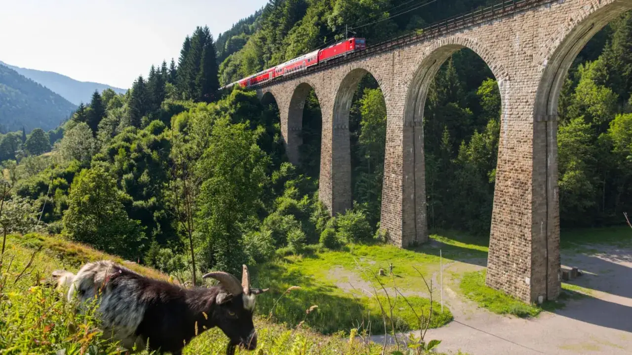 Eine Ziege grast am Hang, w&auml;hrend ein roter Zug &uuml;ber eine beeindruckende Steinbogenbr&uuml;cke f&auml;hrt. Eine malerische Zugfahrt durch gr&uuml;ne Berge.